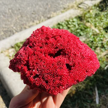 1BUC Naturale de Coral roșu Cluster de Cristal de Cuarț Recif Specimen de Vindecare Decor Acasă Cadou