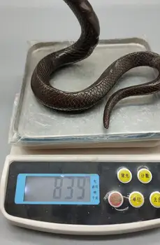 Chinezii Vechi De Bronz Lucrate Manual Șarpe Cobra Statuie Din Alama Cupru