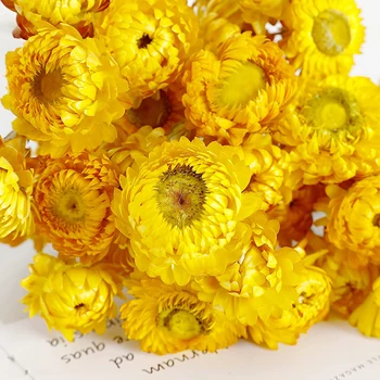 Flori uscate 40PCS Daisy Buchet Naturale Crizantema Uscat de Flori pentru Vaza Decor Acasă Partid DIY Aranjament Decor Cameră